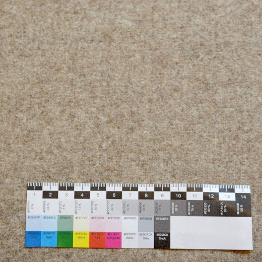 Wollstoff Leinwand angewalkt - sandfarben