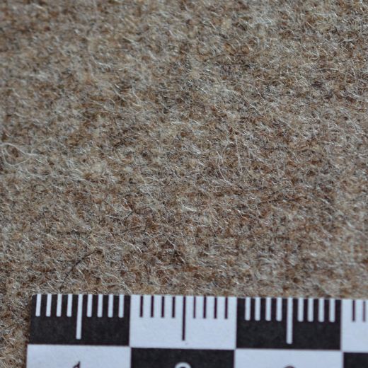 Wollstoff Leinwand angewalkt - sandfarben