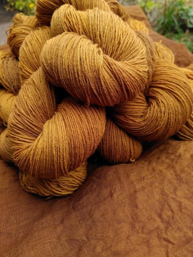 20/4 Strang Faulbaum