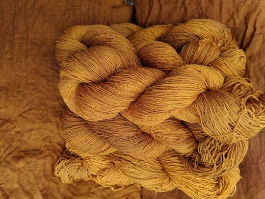 20/4 Strang Faulbaum