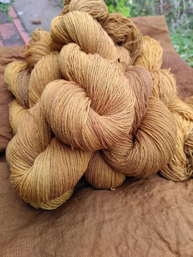 20/4 Strang Faulbaum