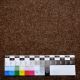 Wollstoff Leinwand angewalkt - erdbraun